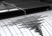 Gempa Bumi Bermagnitudo 7,3 Guncang Wilayah Maluku Tenggara, Tidak Berpotensi Tsunami