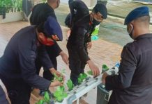 Pemanfaatan Lahan Kosong Kompi 1 C Pelopor Lampung