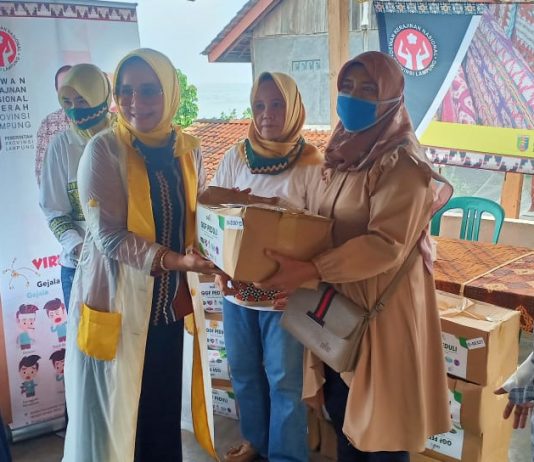 Riana Sari Arinal Serahkan Bantuan Sembako ke Masyarakat Pulau Pisang dan Pengrajin di Pesibar