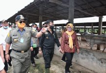 Mentan Syahrul Yasin Limpo Dukung Penuh Gubernur Arinal Wujudkan Lampung sebagai Lumbung Ternak Nasional