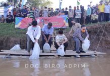 Budidayakan Ikan Air Tawar, Gubernur Arinal Tebar Bibit Ikan di Sungai Tiuh Negara Batin, Way Kanan