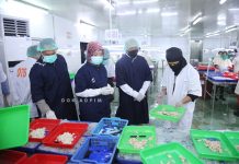 Kemenkop UKM dan Pemprov Lampung Perkuat Rantai Pasok Rajungan dengan Mengembangkan Koperasi Nelayan