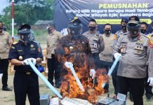 Gubernur Arinal Pimpin Langsung Pemusnahan Tembakau dan Etil Alkohol Ilegal