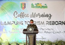 Gubernur Arinal Ajak Semua Pihak Bangkitkan Pariwisata Lampung dengan Protokol Kesehatan