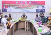 Webinar Antisipasi Covid-19, Pangdam Sriwijaya dan Gubernur Soroti Disiplin Mobilitas Keluar/Masuk Lampung