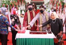 Wakil Gubernur Chusnunia Dampingi Menteri PAN & RB Resmikan Mal Pelayanan Publik (MPP) Tulang Bawang