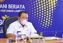 Menjadi Narasumber Webinar Series KPB, Gubernur Arinal Pertegas Potensi Kartu Petani Berjaya sebagai Solusi Digitalisasi Pertanian Lampung