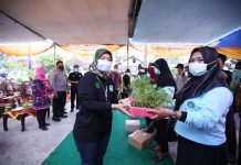 Penyerahan Bantuan Pupuk dan Bibit kepada Komunitas Rumah Tangga, Pemprov Lampung Ajak Stakeholder Dukung Program Ketahanan Pangan