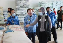 Wakil Gubernur Chusnunia Tinjau Ketersediaan Pupuk Dan Pestisida Di Wilayah Lampung Timur