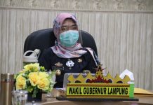 Wagub Lampung, Chusnunia, menghadiri Video Conference Scalling Up Nutrition (SUN) Anual Meeting 2020