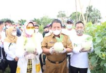 Resmikan PKK Agro Park, Gubernur Arinal harapkan pengembangan destinasi wisata Edupark