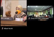 Chusnunia Minta Segera Cari Solusi Atasi Keluhan Pupuk di Kalangan Petani