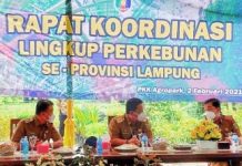 Pemerintah Provinsi Lampung Gelar Rapat Koordinasi Sektor Perkebunan