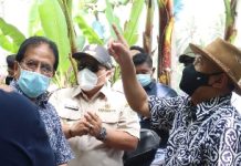 Gubernur Dampingi Kunjungan kerja 2 Menteri di Kabupaten Tanggamus