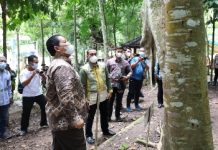Gubernur Arinal Launching Pusat Inkubasi Tanaman Nusantara di Tahura Wan Abdul Rachman