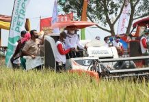 Pemprov Lampung Panen Padi Seluas 110 hektar di Kabupaten Tulang Bawang