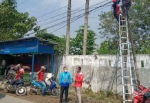 Wakil Walikota Metro Terjun Langsung Tanggapi tiang Telkom roboh