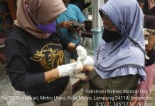 Dinas Ketahanan Pangan,Pertanian,Perikanan Kota Metro Lakukan Suntik Hewan Rabies