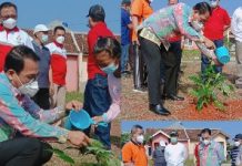 Walikota Metro Pertahankan Ruang Tata Hijau (RTH)Kota dengan Menanam Pohon Tabebuya.