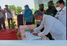 DKP3 Kota Metro Lakukan Percobaan Tanam Varietas Padi Terbaru yang dapat Panen di Usia 70 Hari.