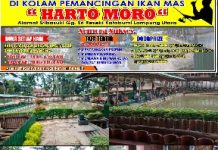 Hartomoro Kolam Pemancingan ikan Mas Harian Terbaik Selampung
