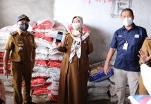 Wagub Chusnunia Chalim Lakukan Monitoring Ketersediaan Pupuk dan Pestisida di Kabupaten Lampung Tengah