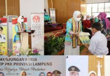 Gerakan Keluarga Pelopor Perubahan, Ibu Riana Arinal Lakukan Kunjungan Kerja ke Way Kanan