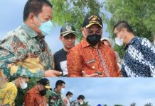 Gubernur Arinal Djunaidi dan Gubernur Erzaldi Lepasliarkan Tukik di Pantai Belitung