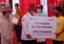 Lampung Raih Prestasi Tingkat Nasional Kelahiran Pedet Tertinggi, bersama 4 Provinsi Lain