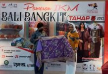 Ketua Dekranasda Lampung Riana Sari Arinal Disambut Ketua Dekranasda Bali, Lakukan Kolaborasi Tingkatkan Produk UMKM