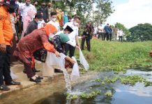Kunker ke Lampung Utara, Riana Sari Arinal Panen Hasil Kebun dan Tebar 10.000 Benih Ikan di Bendungan Way Tebabeng