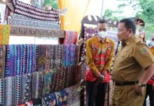 Gubernur Arinal Ajak Pemkab Pesawaran Berkolaborasi Ciptakan Peluang Baru Pengembangan Pariwisata dan Ekonomi Kreatif