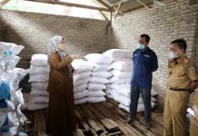 Wagub Chusnunia Monitoring Ketersediaan Pupuk dan Pestisida di Kecamatan Natar, Lampung Selatan