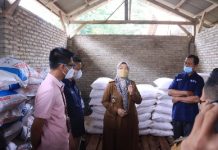 Meminimalisir Kelangkaan Pupuk, Wakil Gubernur Lampung, Chusnunia Monitoring Ketersediaan Pupuk di Lampung Selatan