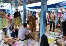 Wagub Chusnunia Tinjau Operasi Pasar Minyak Goreng di Pasar Bumi Agung, Tegineneng