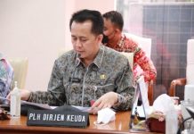 Kemendagri Minta Daerah Percepat Pembentukan Perda Retribusi Persetujuan Bangunan Gedung
