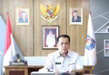 Kemendagri Jelaskan Tata Cara Pengelolaan dan Manfaat DBH-CHT