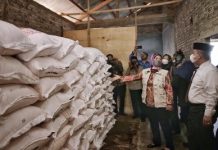 Wagub Chusnunia Tinjau Ketersediaan Pupuk Bersubsidi di Desa Bagelan, Kabupaten Pesawaran