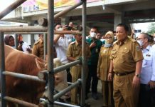Gubernur Arinal Djunaidi Canangkan Tubaba Sebagai Sentra Ternak