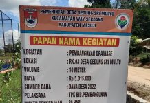 Desa Sri Mulyo Rampungkan Pembangunan Drainase