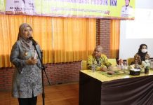 Wagub Chusnunia Ikuti Rangkaian Sosialisasi Sertifikasi dan Standarisasi Produk IKM, Dorong Hilirisasi Produk agar Miliki Nilai Tambah