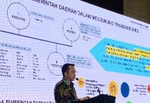 Kemendagri Paparkan Peran Pemda Terkait Belanja Daerah untuk Mendukung Transisi Energi