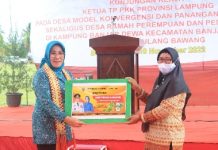 TP PKK Provinsi Lampung, Melanjutkan Kunjungan Kerja di Kampung Banjar Dewa, Tulangbawang