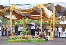 Wagub Pimpin Apel Pencanangan Bulan K3 Tingkat Provinsi Lampung tahun 2023