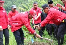 Ketua DPRD Lampung Mingrum Gumay SH,MH Hadiri Gerakan Penghijauan di Komplek Bendungan Batu Tegi