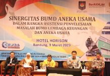 Ditjen Bina Keuda Kemendagri Gelar Webinar Series ke-32, Tingkatkan Kinerja dan Sinergitas BUMD