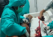 Perkara Judi, Rijosen Tewas Tertembak Polisi