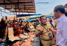 Kunjungi Pasar Natar Lampung, Presiden Tinjau Harga Komoditas Pangan