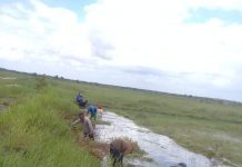 Tingkatkan Produksi Padi Petani, Dinas PUPR Mesuji Luncurkan Inovda “Sop Sedap”