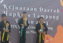 Ikut Kejurda, 6 Atlit Hapkido Mesuji Boyong 8 Mendali